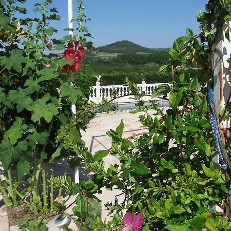 La Bastide Des Raisins
